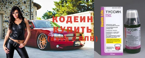 спиды Магас
