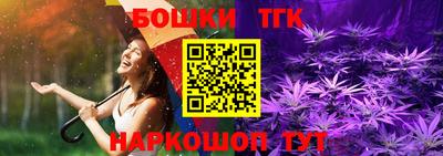 СК Дубна