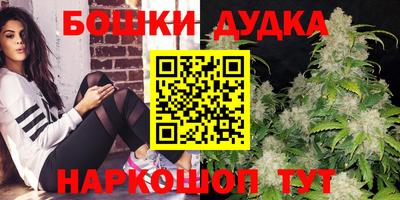 СК Дубна