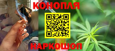 СК Дубна
