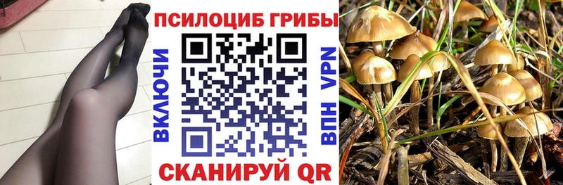 Галлюциногенные грибы Magic Shrooms купить цена blacksprut вход Невинномысск